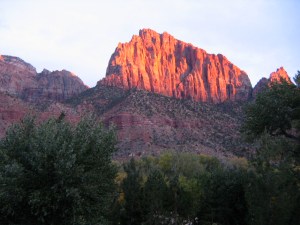 IMG_4332