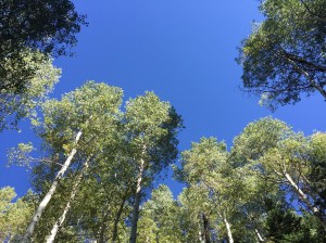 IMG_3358