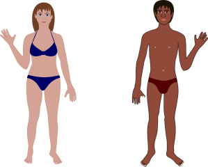 human-152644_960_720