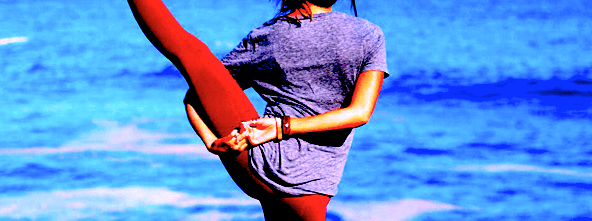 yoga-bird-of-paradise.png