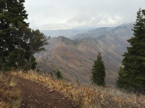 img_4537