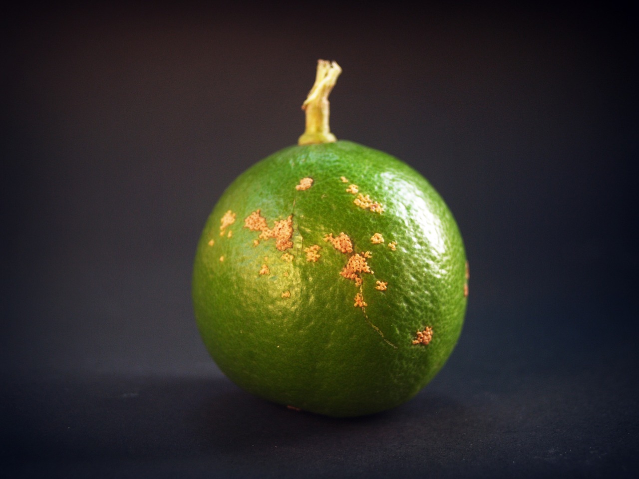 lime-1549305_1280