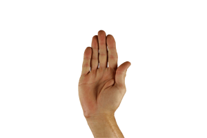 hand-1006422_960_720