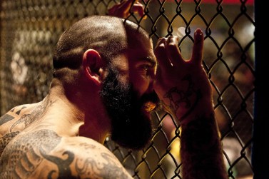 mma-2282013_960_720