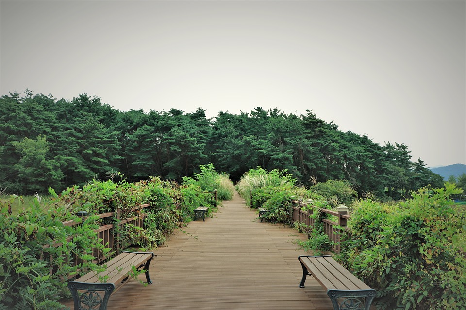 path-2812419_960_720
