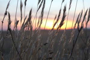 sunset-622966_960_720