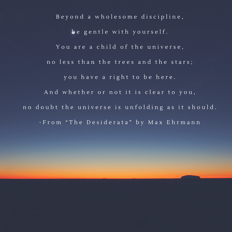 Beyond a wholesome discipline,be gentle with yourself.You are a child of the universe,no less than the trees and the stars;you have a right to be here.And whether or not it is clear to y