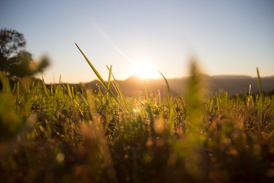sunrise-1668423_960_720