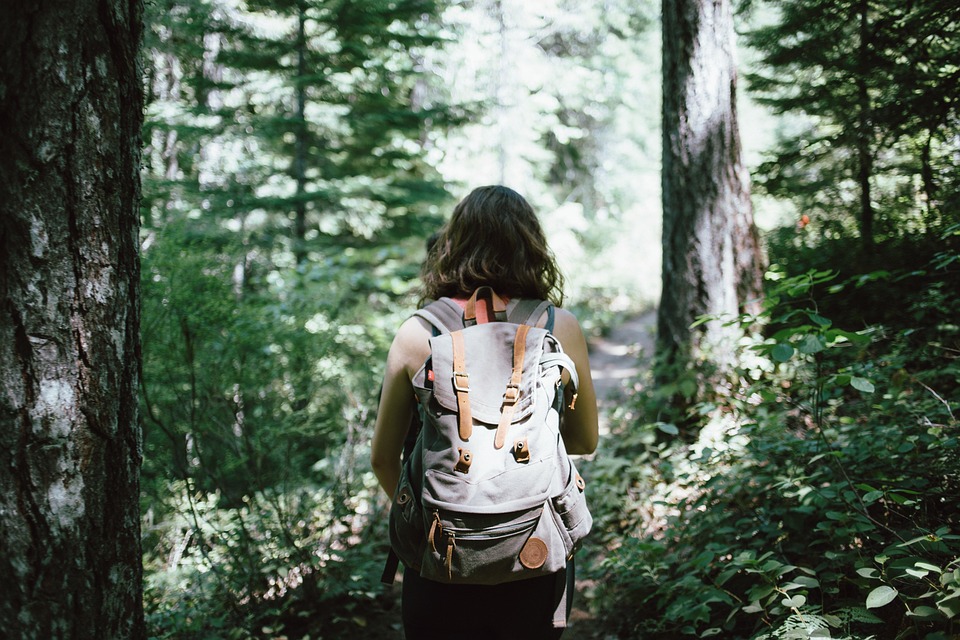 hiker-918704_960_720