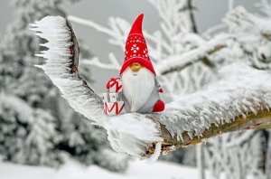 santa-claus-1819933__340